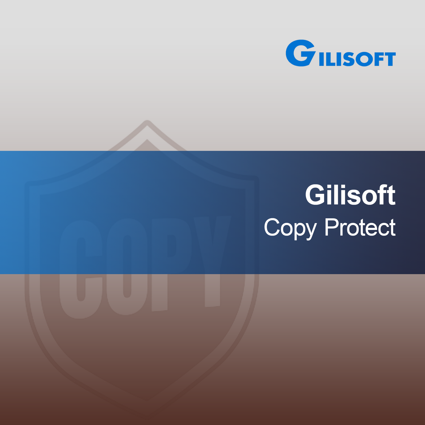 Gilisoft Protección de Copia