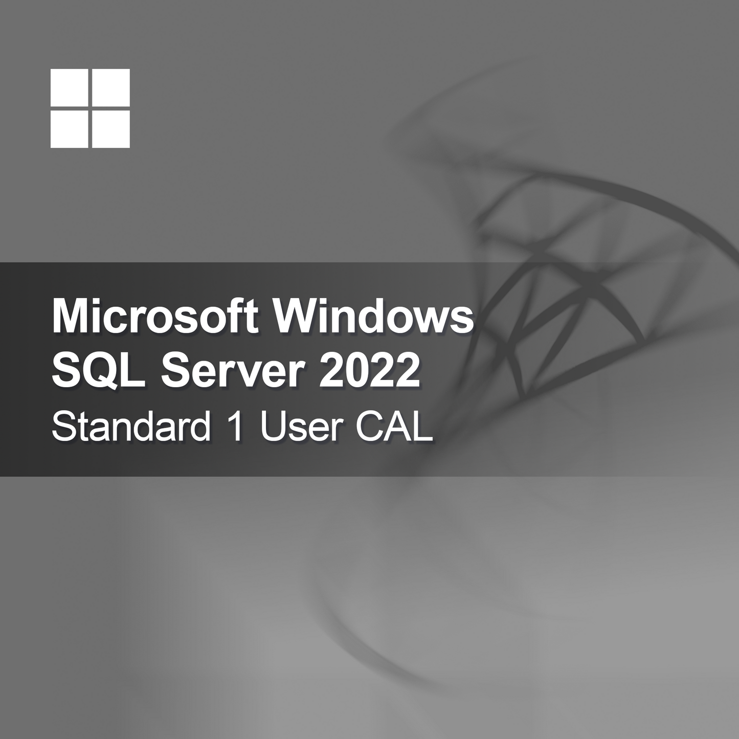 Microsoft SQL Server 2022 Standard 1 Usuario CAL